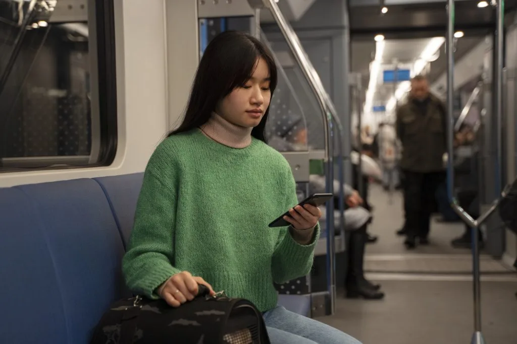 woman riding in a train - vista land 